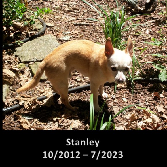 Meet your Posher, Cindy - Picture 5 of 6